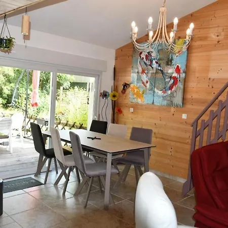 Le Cincle Au Coeur Du Massif Des Vosges La Bresse