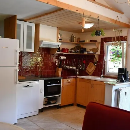 Le Cincle Au Coeur Du Massif Des Vosges *