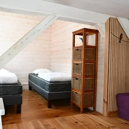 Le Cincle Au Coeur Du Massif Des Vosges *