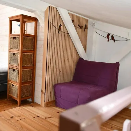 Le Cincle Au Coeur Du Massif Des Vosges