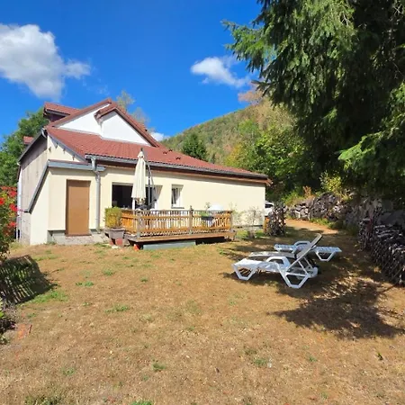 Apartment Le Cincle Au Coeur Du Massif Des Vosges La Bresse