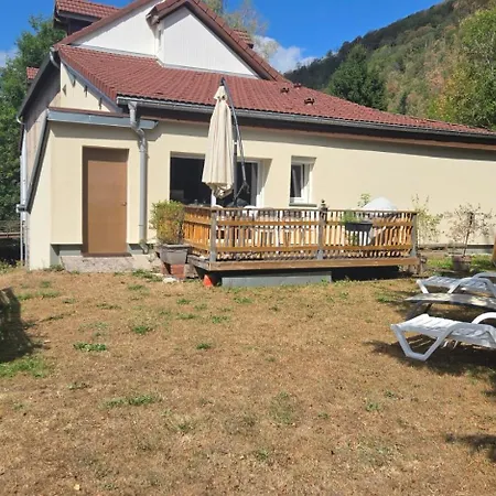 Le Cincle Au Coeur Du Massif Des Vosges La Bresse