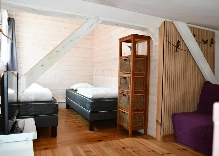 Le Cincle Au Coeur Du Massif Des Vosges *