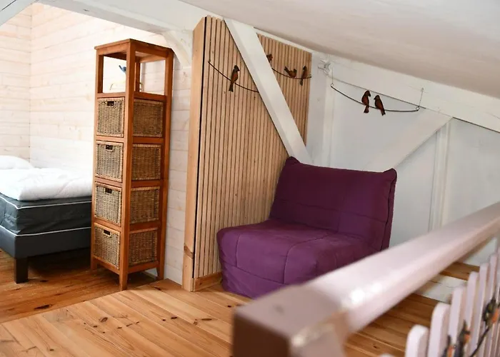 Le Cincle Au Coeur Du Massif Des Vosges