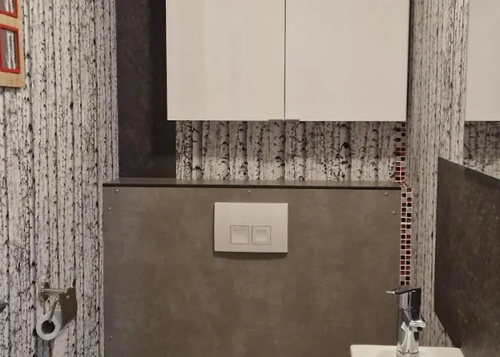 Le Cincle Au Coeur Du Massif Des Vosges Apartmán La Bresse